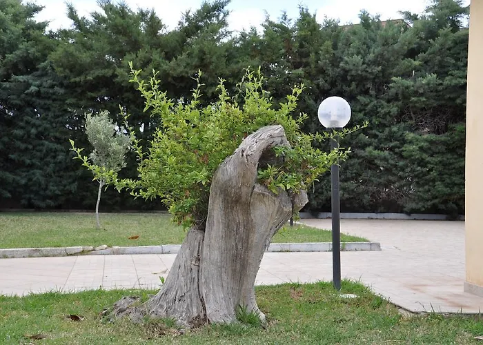 Barbara Bed & Breakfast